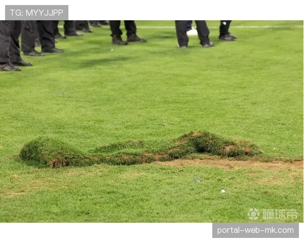 通讯：为迎接可能的决赛球队，温布利球场启动草皮维护与翻新工程。